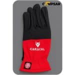 دستکش ویندستاپر مردانه کاراکال کد CA-B 801A - Image 3